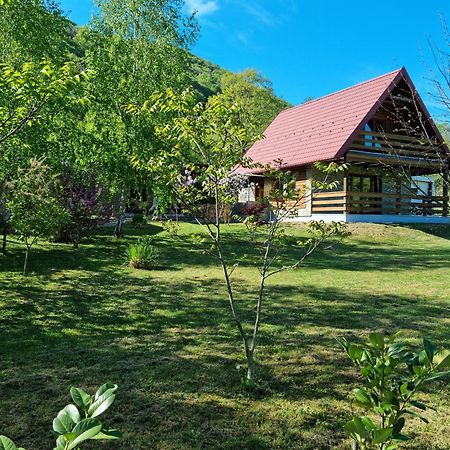 Green Garden Lohovo Bihać Eksteriør billede