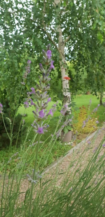Green Garden Lohovo Bihać Eksteriør billede