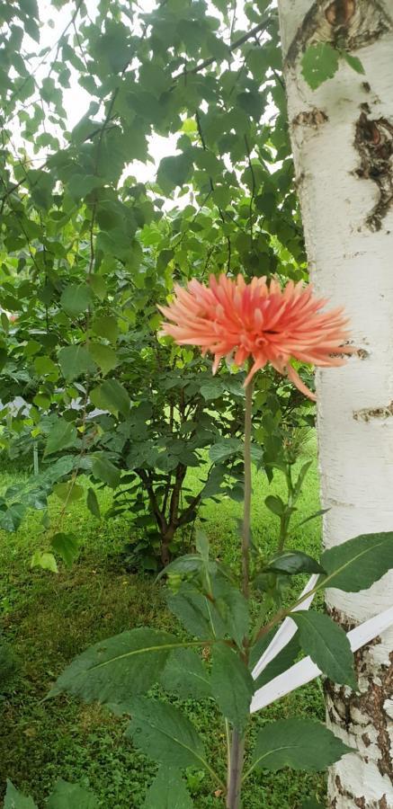 Green Garden Lohovo Bihać Eksteriør billede